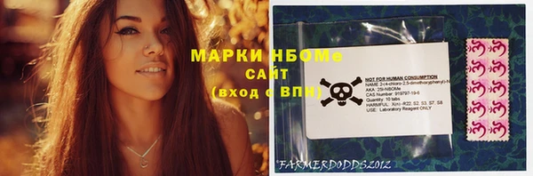 прущие грибы Белокуриха