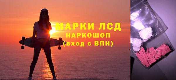 прущие грибы Белокуриха