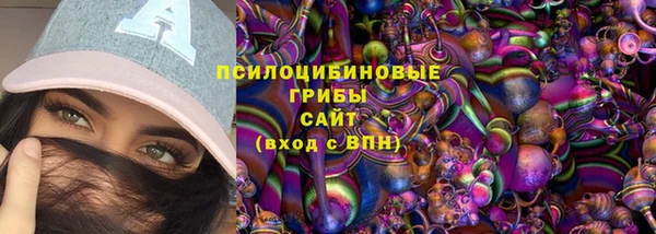 прущие грибы Белокуриха
