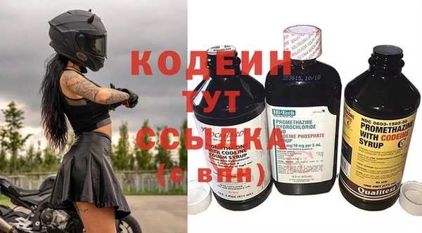 прущие грибы Белокуриха