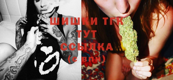 прущие грибы Белокуриха