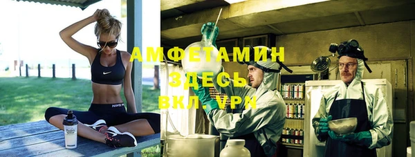 прущие грибы Белокуриха